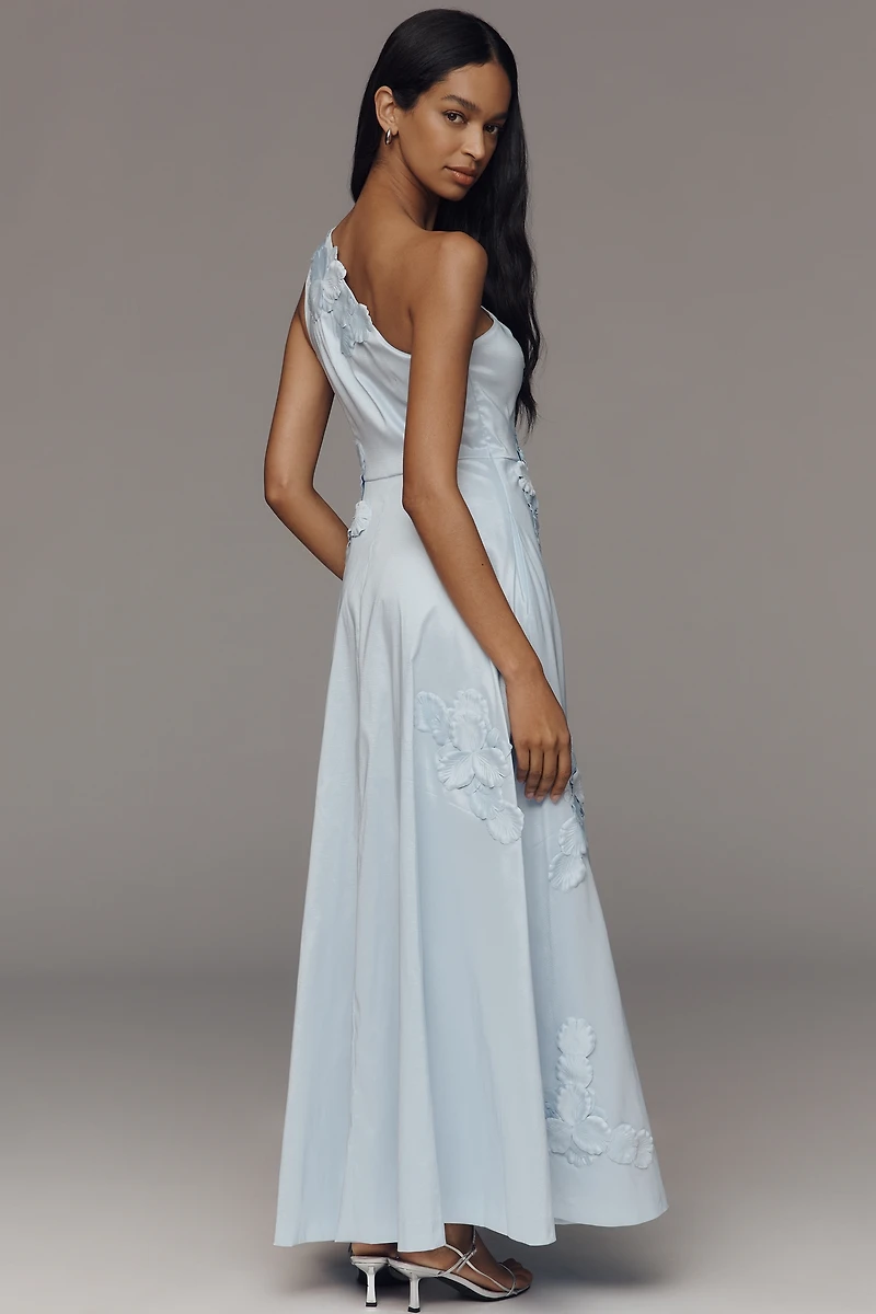 Hutch Adelaide One-Shoulder Maxi Dress