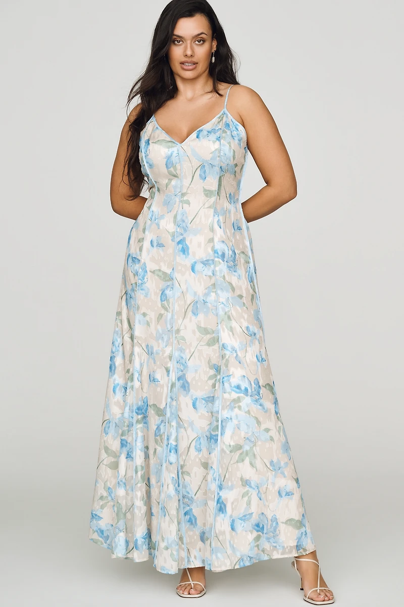 Hutch Tasmin V-Neck Maxi Dress
