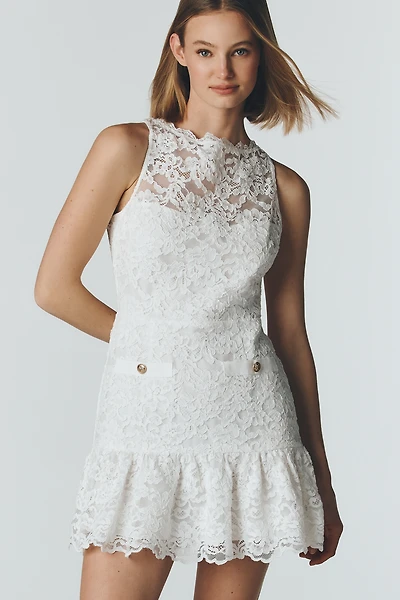 Saylor Drusilla Lace Drop-Waist Mini Dress