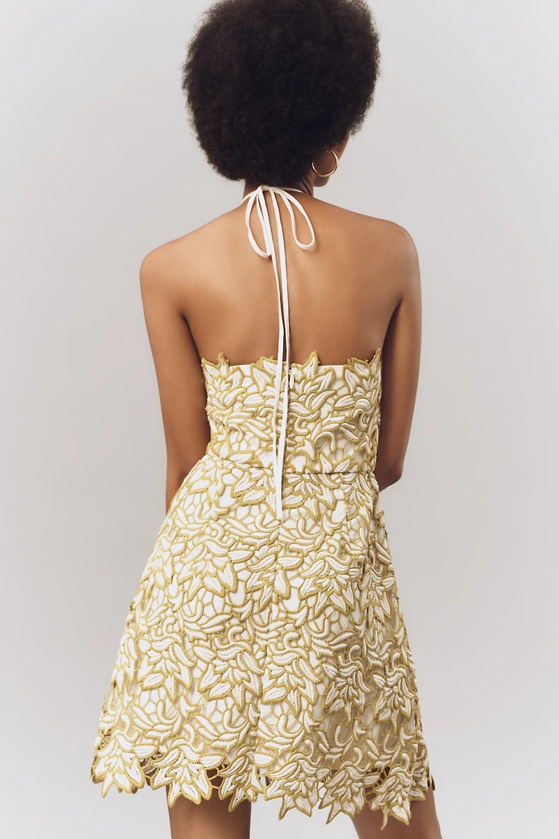 Endless Rose Halter Lace Mini Dress