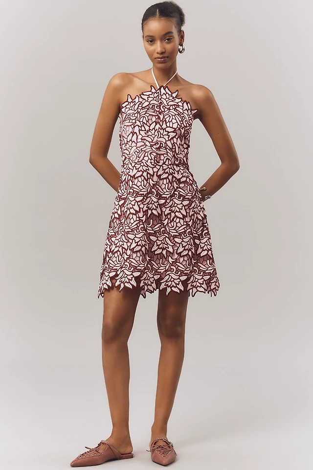 Endless Rose Halter Lace Mini Dress | The Summit
