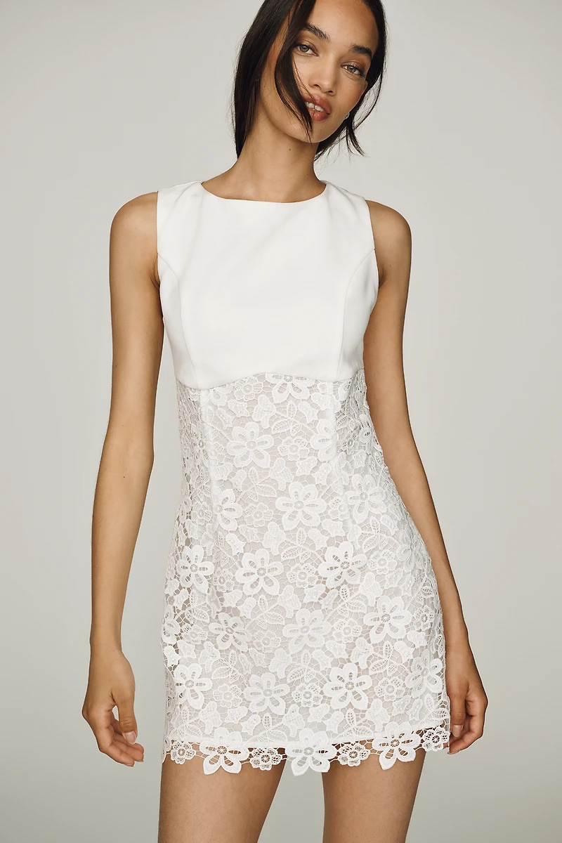 Endless Rose Lace Mini Dress