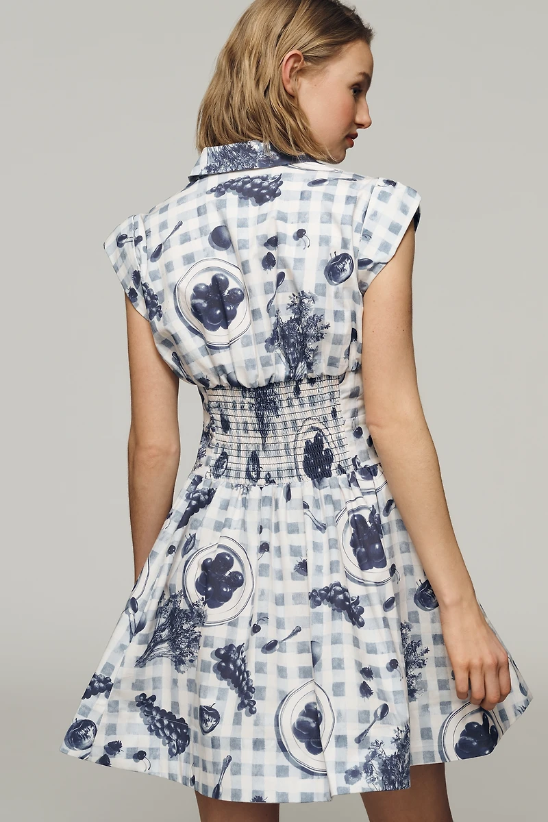 Maeve Cap-Sleeve Waisted Mini Shirtdress