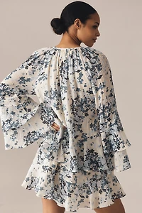 Maeve Long-Sleeve V-Neck Mini Swing Dress