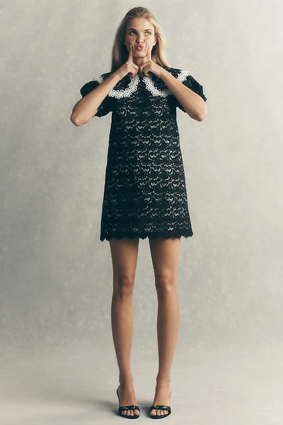 Maeve Puff-Sleeve Collared Lace Mini Dress