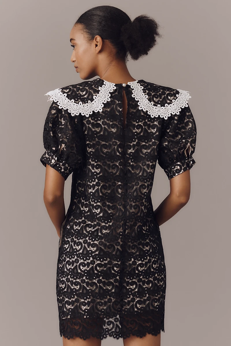 Maeve Puff-Sleeve Collared Lace Mini Dress
