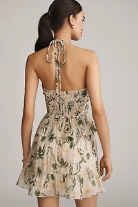 En Saison Linden Ruffle Halter Mini Dress