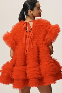 CeliaB Amor Ruffle Swing Mini Dress
