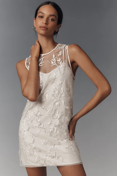 Flat White Sheer Embroidered Mini Dress