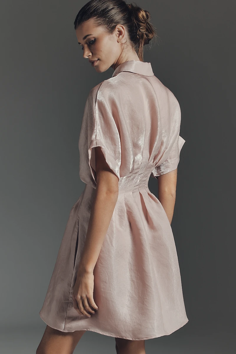 Tobie Organza Mini Shirt Dress by Exquise