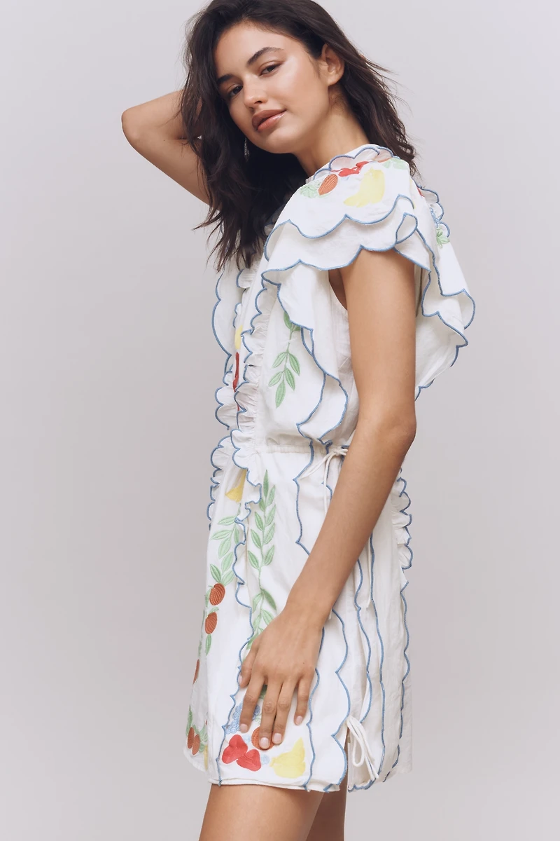 Farm Rio x Anthropologie Embroidered Ruffle mini Dress