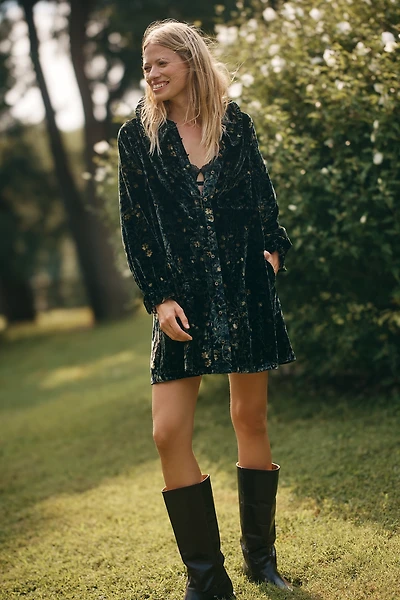 Keira Long-Sleeve Velvet Mini Dress by Pilcro