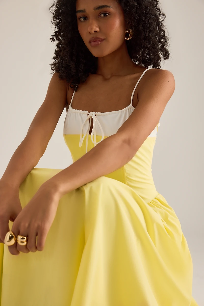 Extro&Vert Susana Sleeveless Corset Pleated Midi Dress