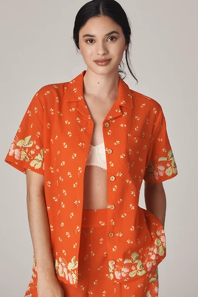 Rachel Antonoff James Shirt