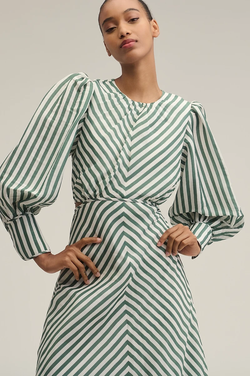 Lovaan Daisy Linen-Silk Long-Sleeve Maxi Dress