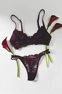 Clo Intimo Lace Bralette