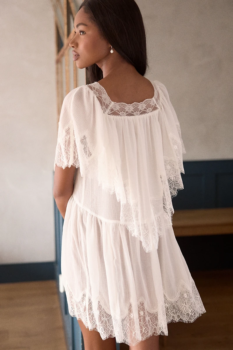 LyreBird Chiffon Lace-Trim Mini Dress
