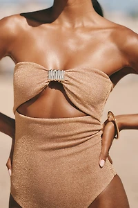 Devon Windsor Izzie One-Piece Swimsuit