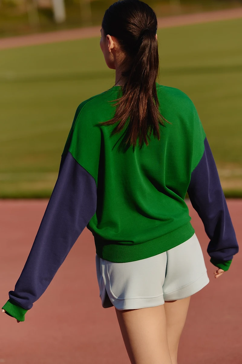 Beach Riot Devyn Oversized Crew-Neck Sweatshirt