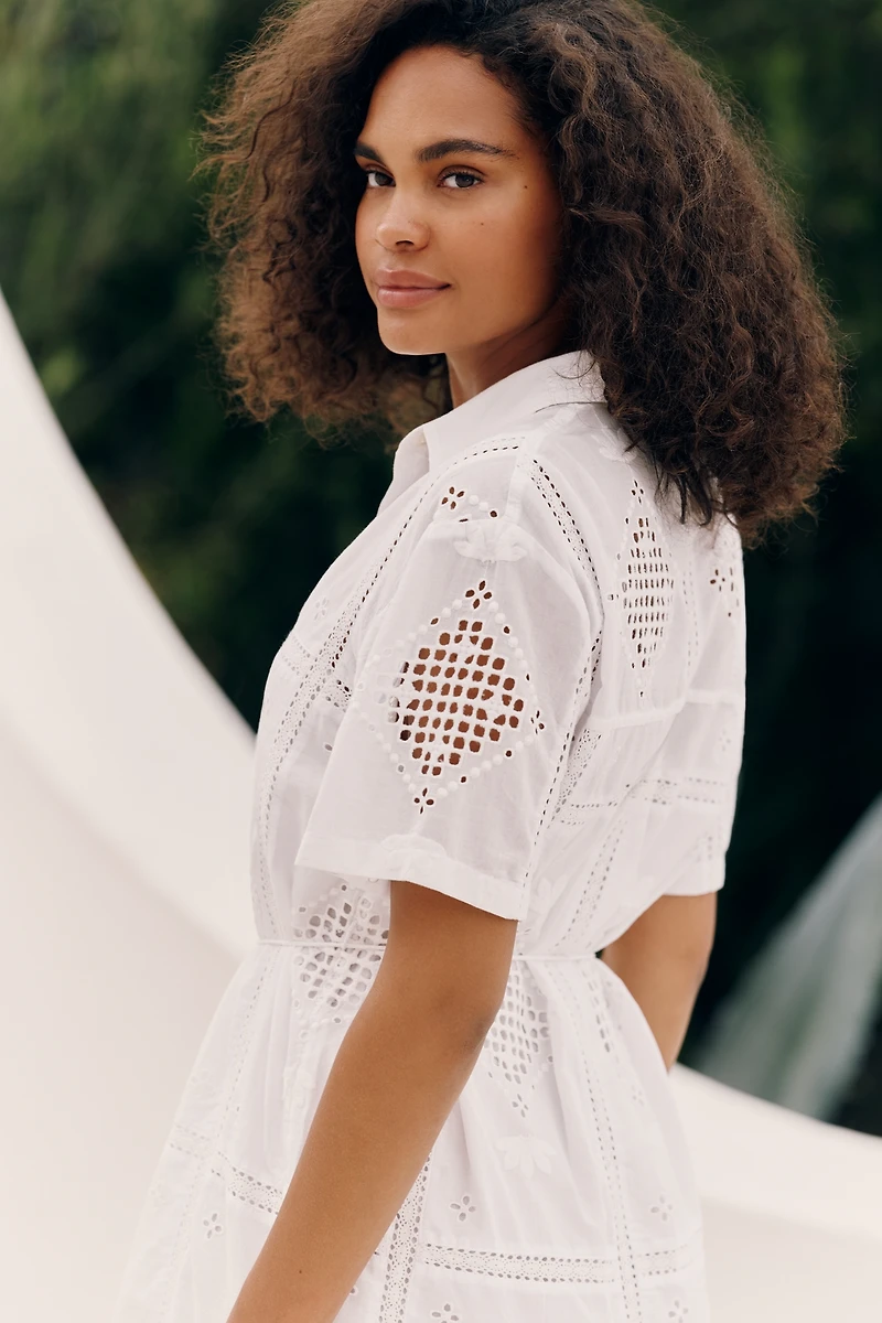 Z Supply Annabelle 100% Cotton Shirtdress