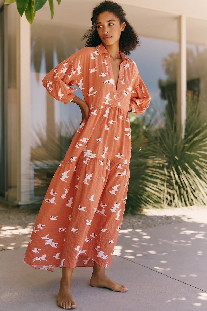 Celandine Carolita Long-Sleeve Dress
