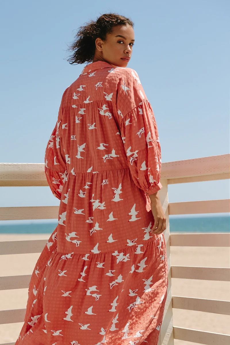 Celandine Carolita Long-Sleeve Dress