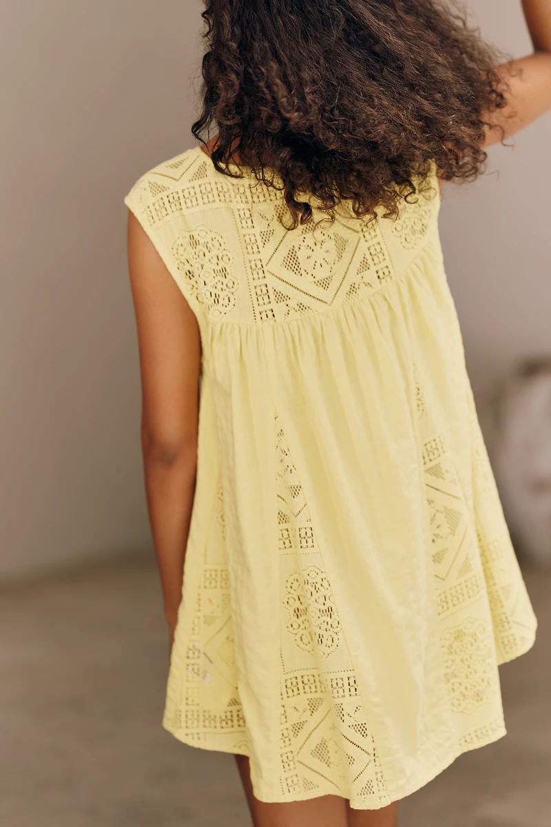Celandine Lace Mini Dress