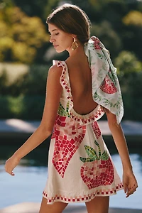 Celandine Strawberry Embroidered Open-Back Mini Dress