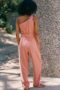 Celandine One-Shoulder Jumpsuit