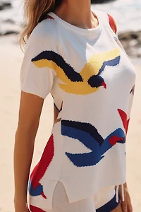 Celandine Short-Sleeve Crew-Neck Sweater