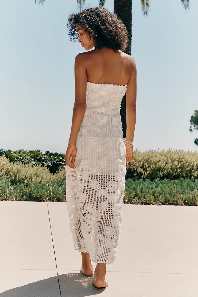 Endless Rose Embroidered Net Dress