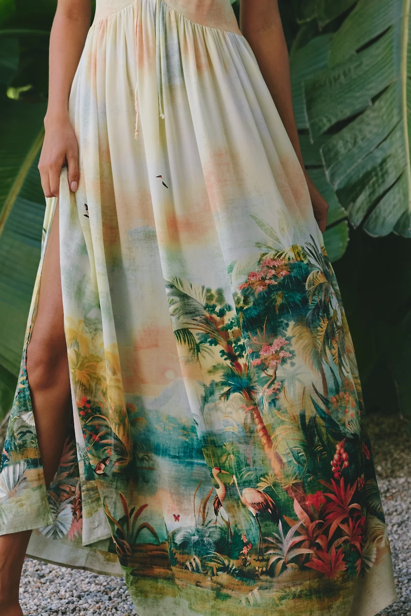 Celandine Sleeveless Scenic Maxi Dress