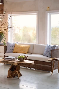 Teak Root Coffee Table