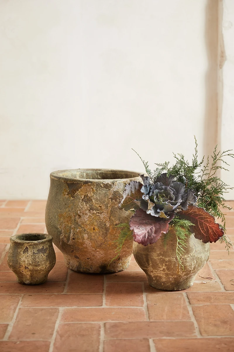 Barnacle Footed Pot