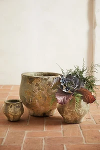 Barnacle Footed Pot
