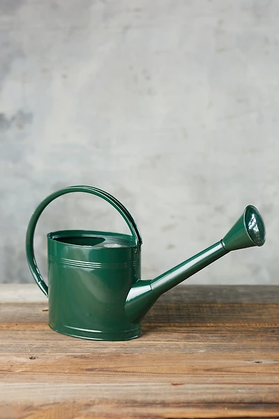 Galvanized Steel Watering Can