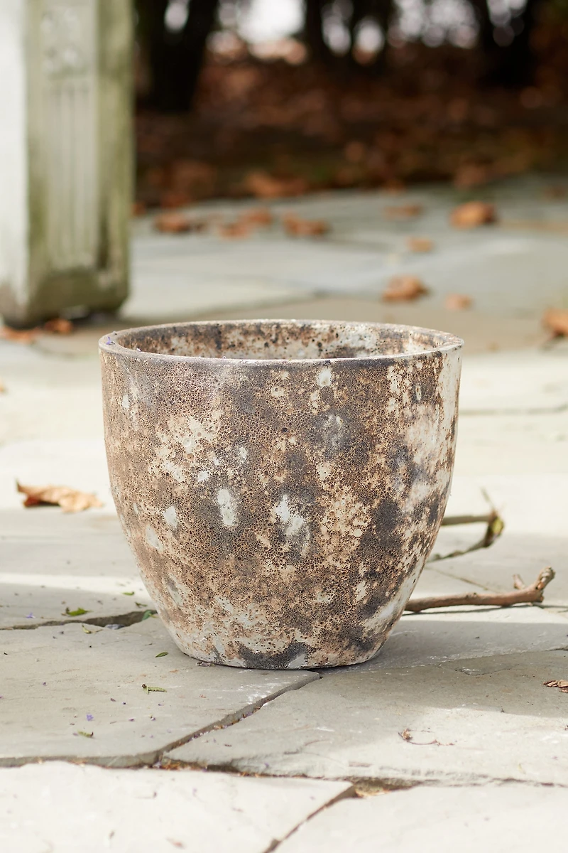 Barnacle Rounded Egg Planter