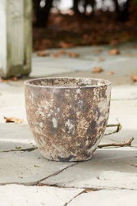 Barnacle Rounded Egg Planter