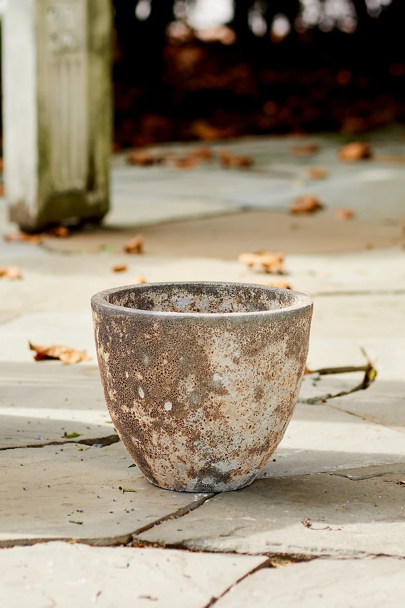 Barnacle Rounded Egg Planter