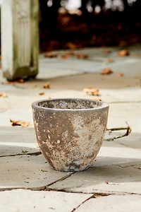 Barnacle Rounded Egg Planter