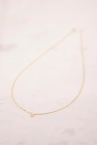 Heather Hawkins 14K Yellow Gold Custom Initial Necklace