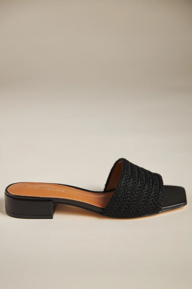 The Coralie Mule Slide Sandals by Maeve