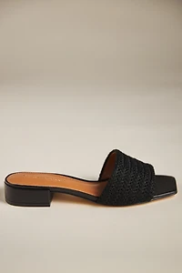 The Coralie Mule Slide Sandals by Maeve