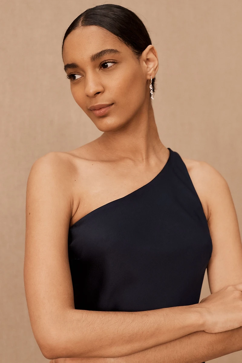BHLDN Audrie Midnight Midi Dress