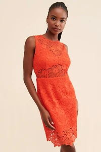 Hutch Floral Lace Sheer Mini Dress