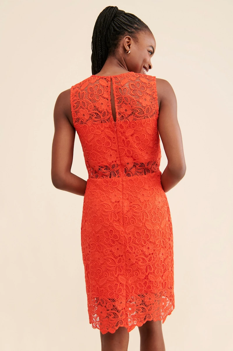 Hutch Floral Lace Sheer Mini Dress