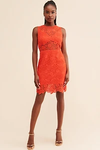 Hutch Floral Lace Sheer Mini Dress