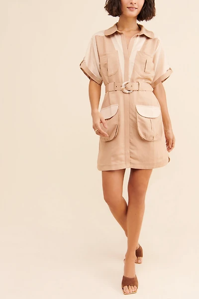 Steele Dusty Utility Dress
