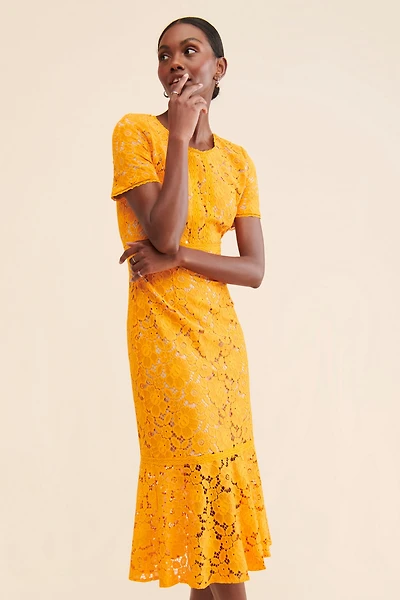 Rachel Parcell Fitted Lace Midi Dress