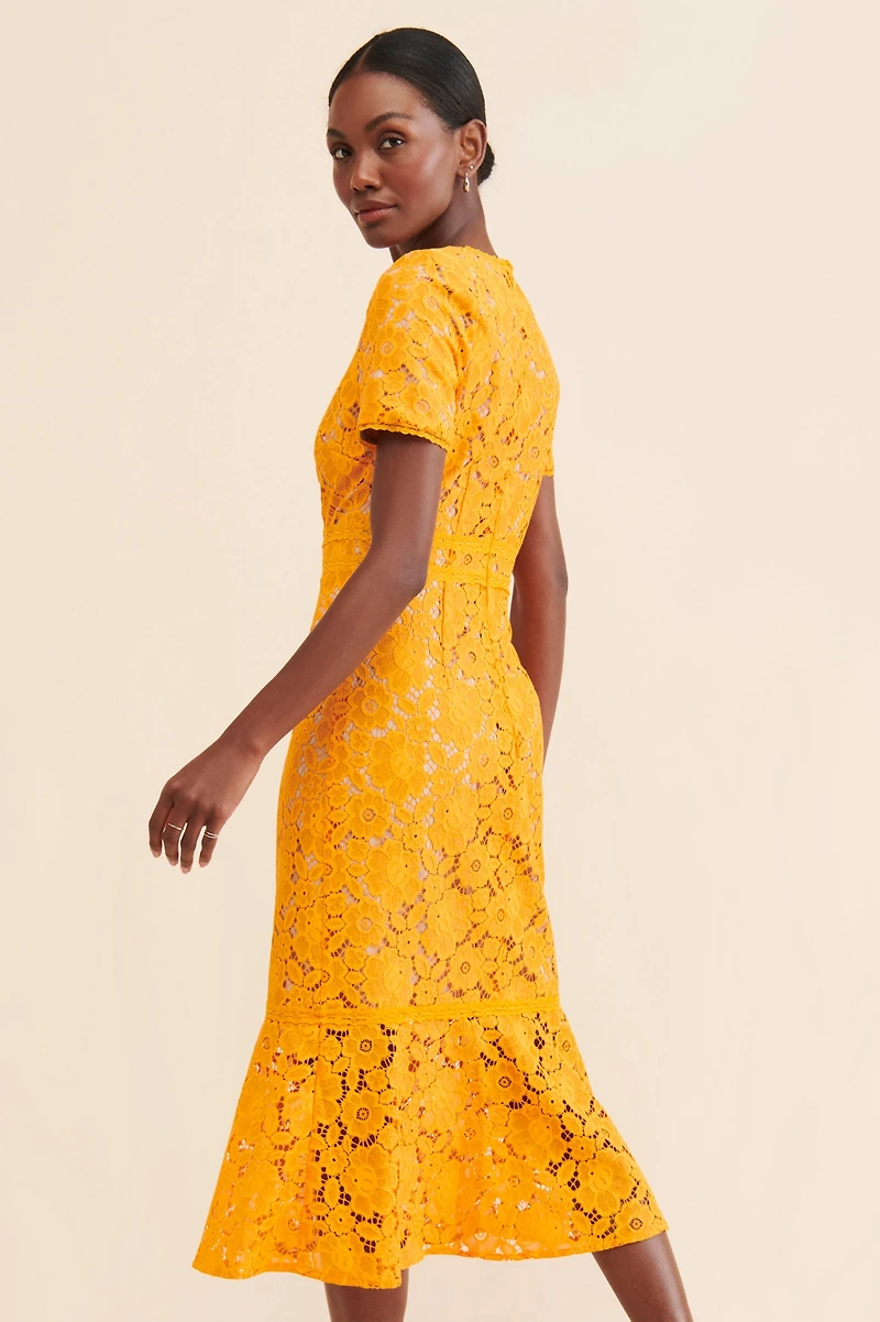 Rachel Parcell Fitted Lace Midi Dress